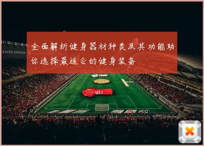 全面解析健身器材种类及其功能助你选择最适合的健身装备
