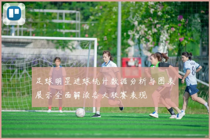足球明星进球统计数据分析与图表展示全面解读各大联赛表现